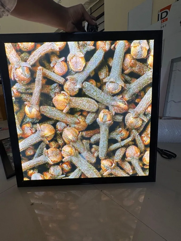 Coral Brand Display, Clip-On LED Frames installed in Pune
